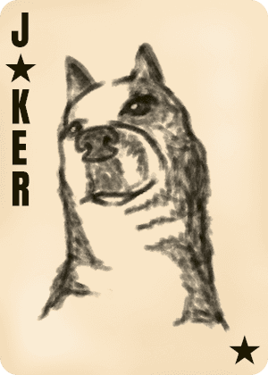 Joker: a sketched dog